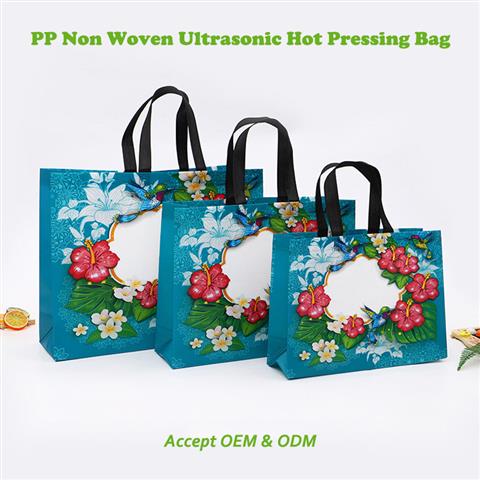 Non woven lamination bag