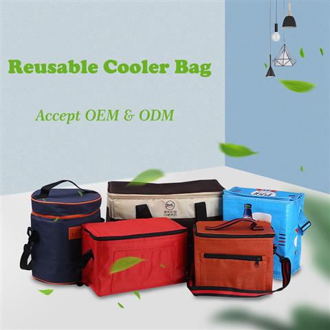 Cooler bag